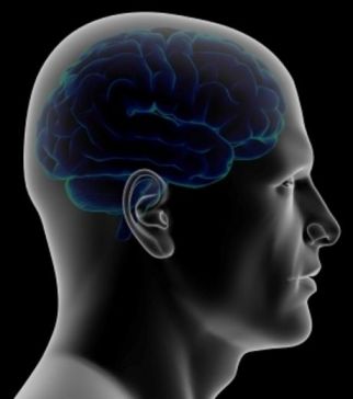 le magnétisme et le cerveau humain